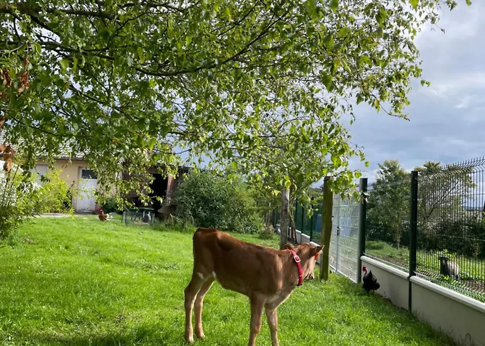 Caramelle Piscine Interieure Privee Chauffee Toute L Annee Et St Martin